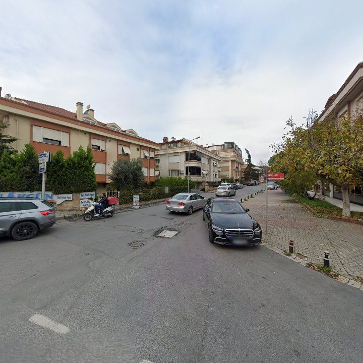Fotoğraf 13