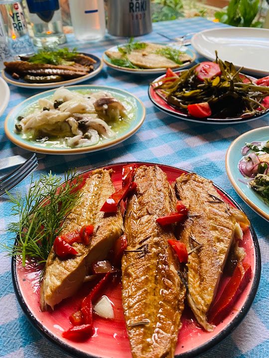 Fotoğraf 5