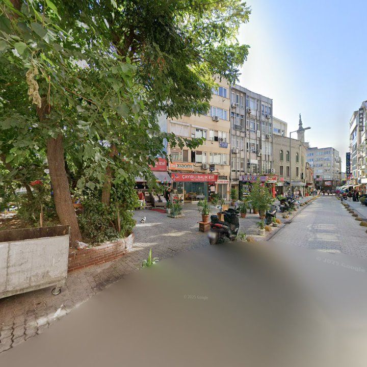 Fotoğraf 13