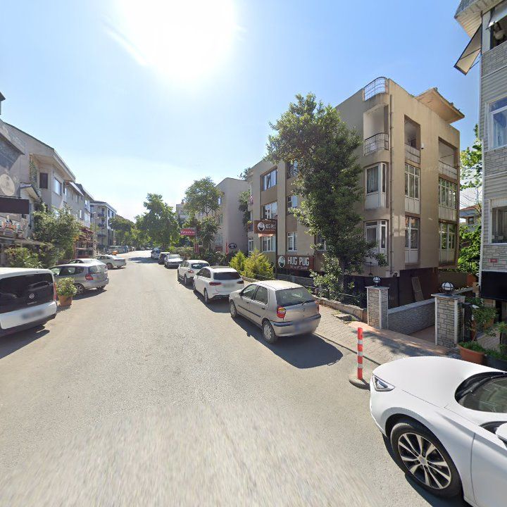 Fotoğraf 13