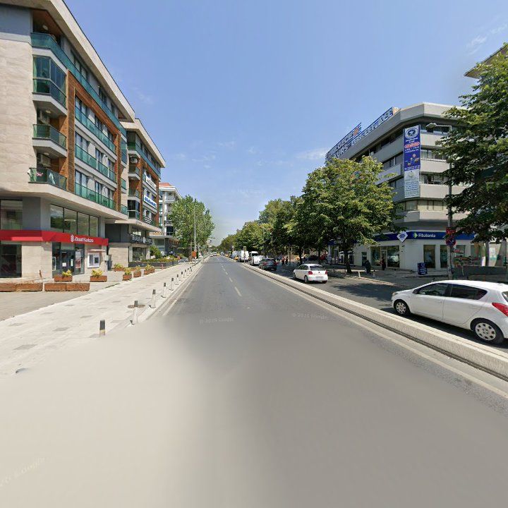 Fotoğraf 12