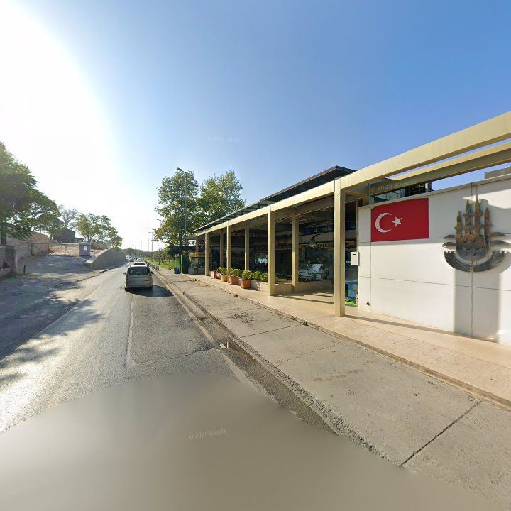 Fotoğraf 11