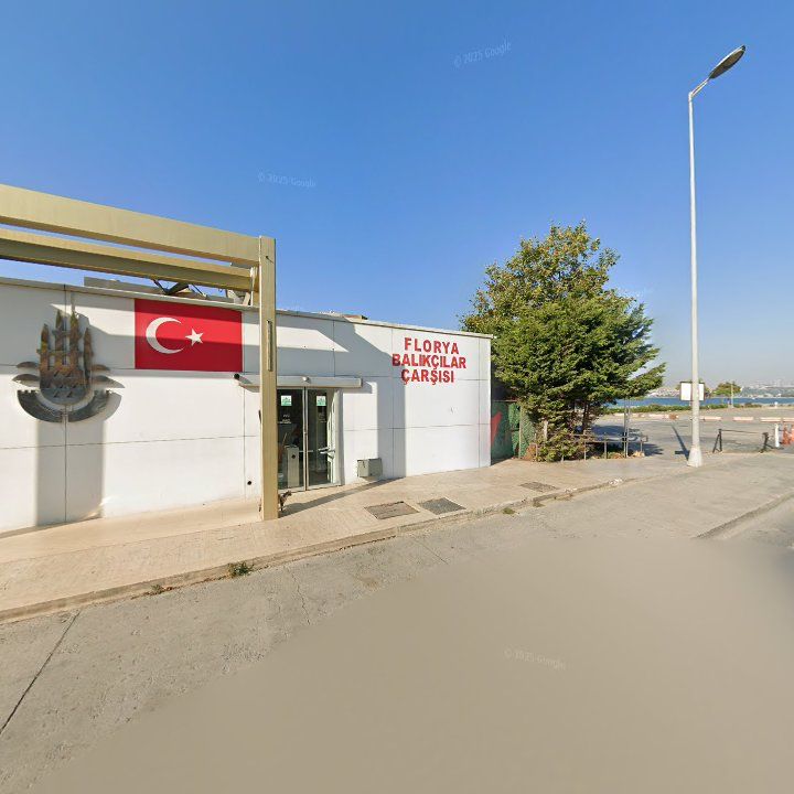 Fotoğraf 12