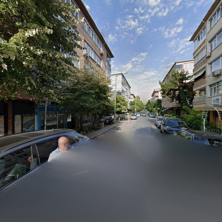 Fotoğraf 11