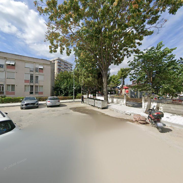 Fotoğraf 12