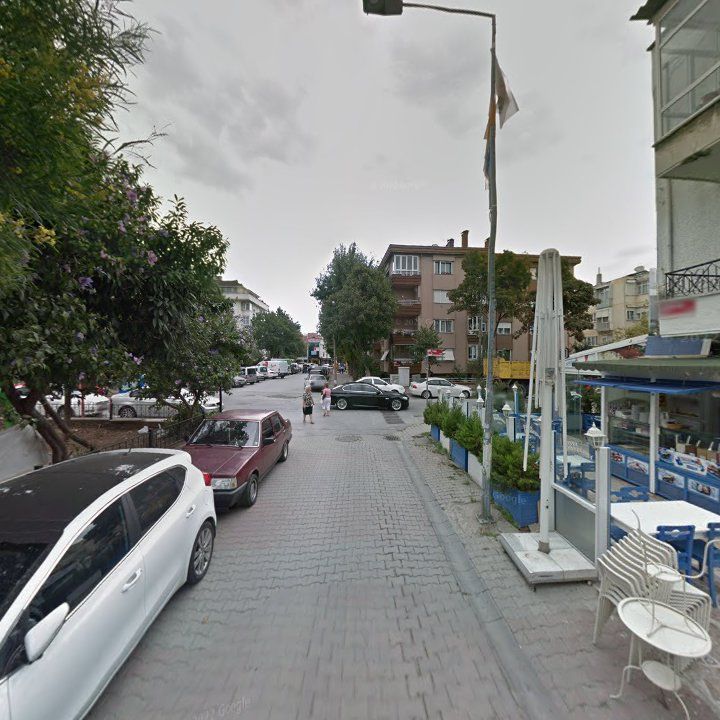 Fotoğraf 11