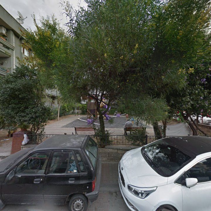 Fotoğraf 10