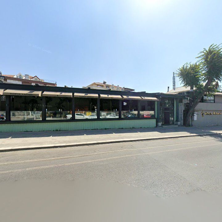 Fotoğraf 13