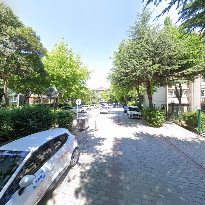 Fotoğraf 6