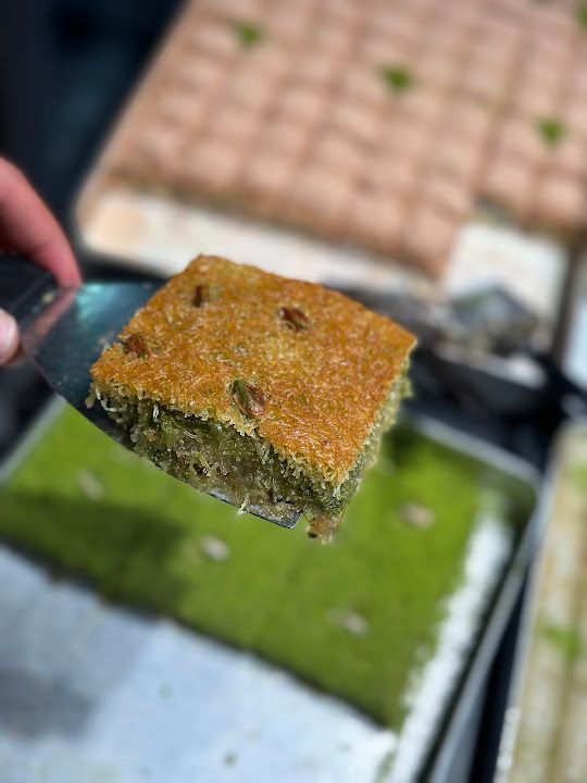 Fotoğraf 12