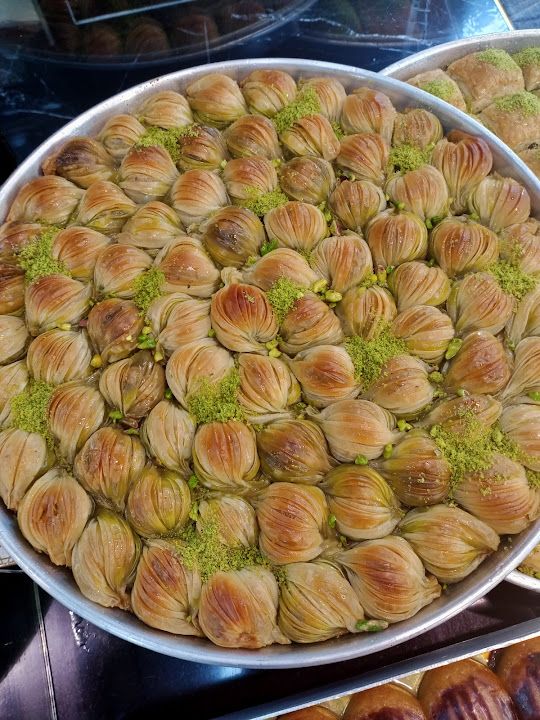 Fotoğraf 11