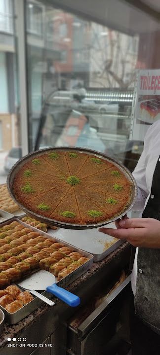 Fotoğraf 14