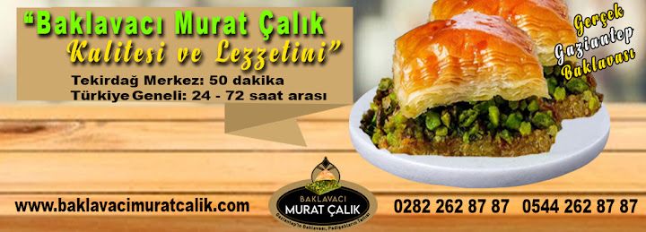 Fotoğraf 16