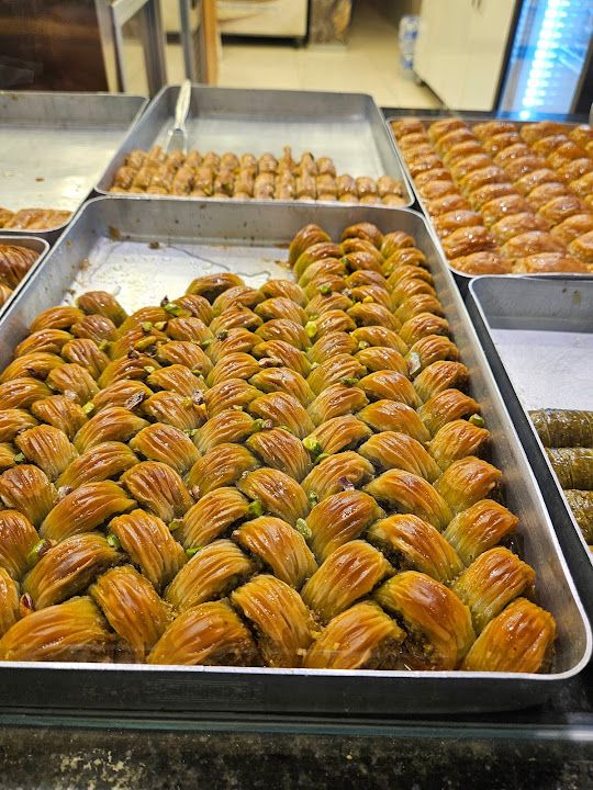 Fotoğraf 14