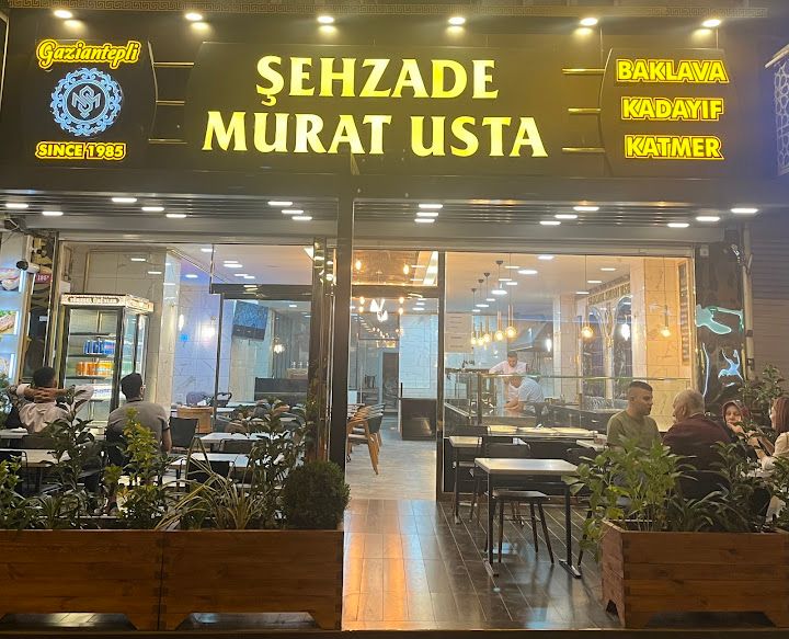 Fotoğraf 15
