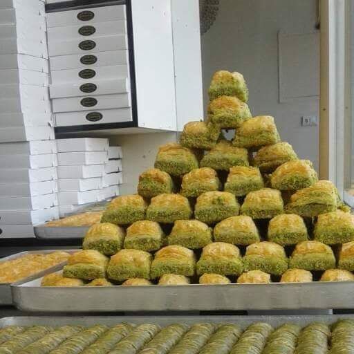 Fotoğraf 13