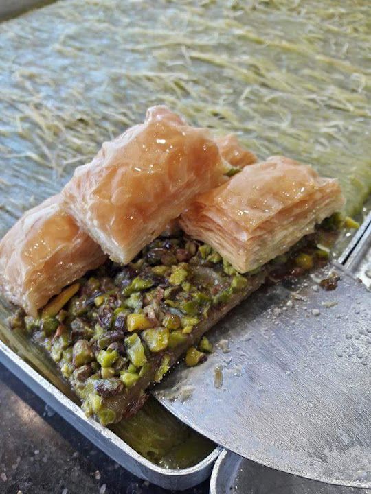 Fotoğraf 12