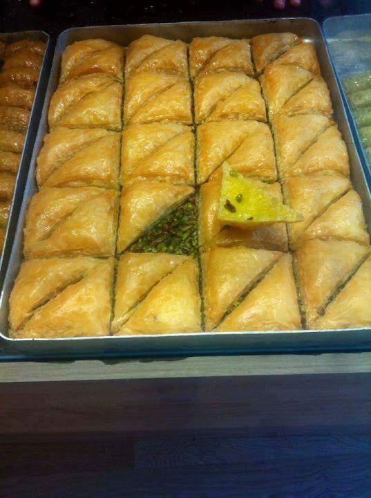 Fotoğraf 15