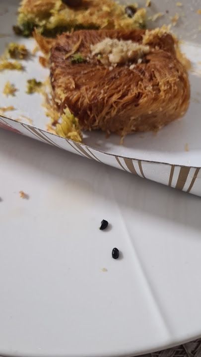 Fotoğraf 17