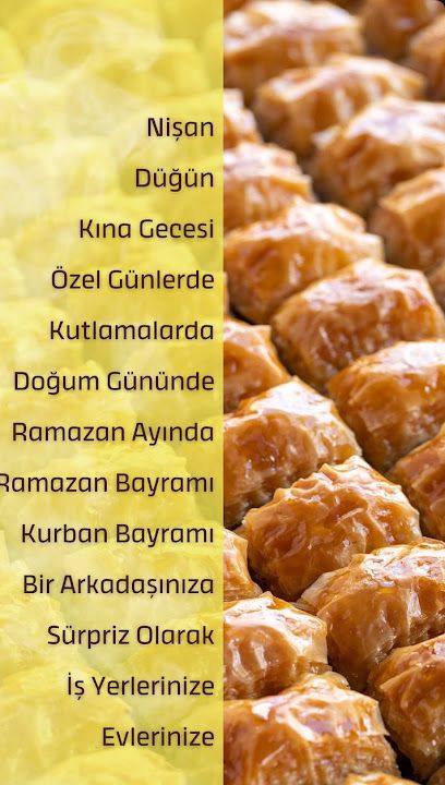 Fotoğraf 12
