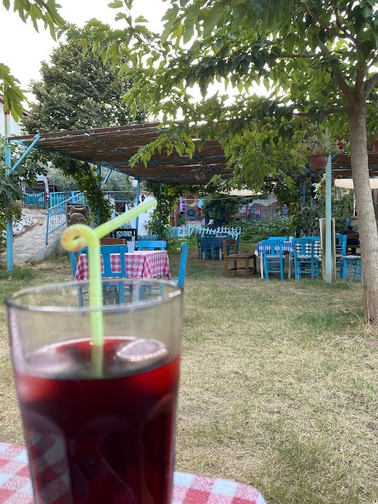 Fotoğraf 13