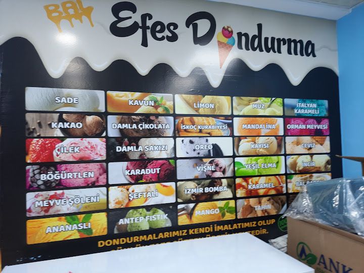 Fotoğraf 16