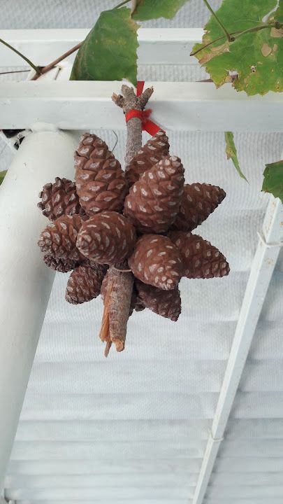Fotoğraf 19