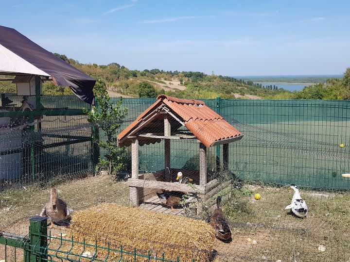 Fotoğraf 72