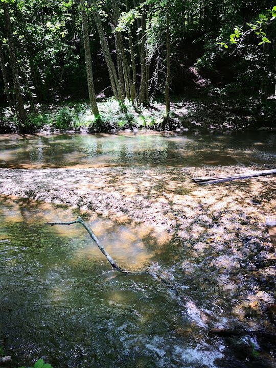 Balaban Kamp Ve Piknik Alanı