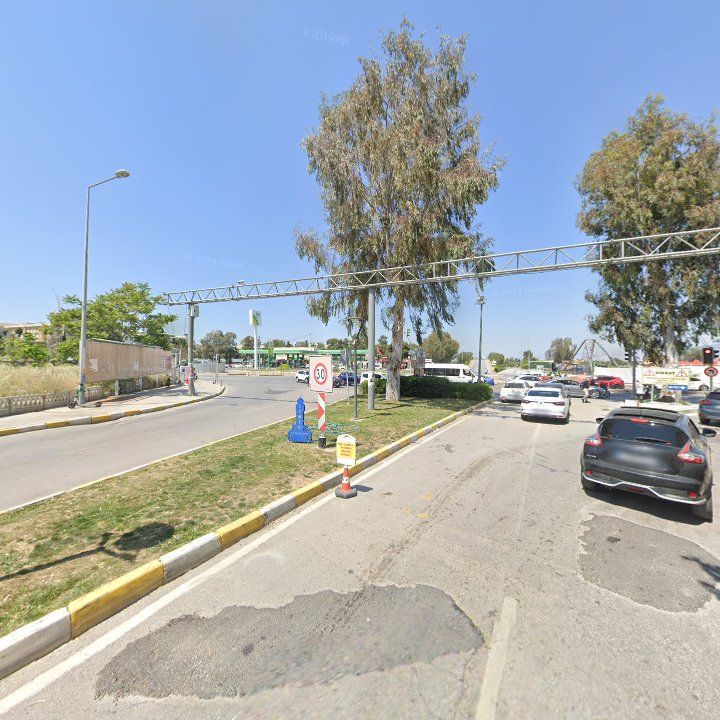 Fotoğraf 13
