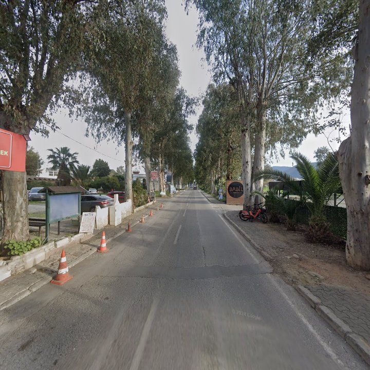 Fotoğraf 12