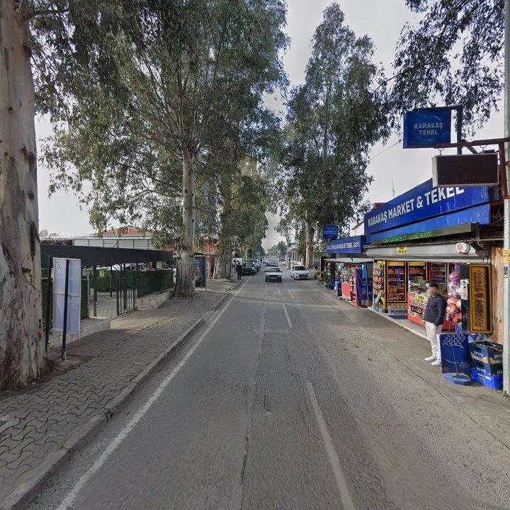 Fotoğraf 10