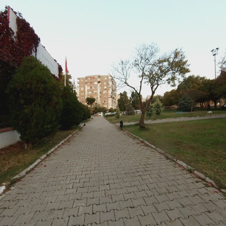 Fotoğraf 6