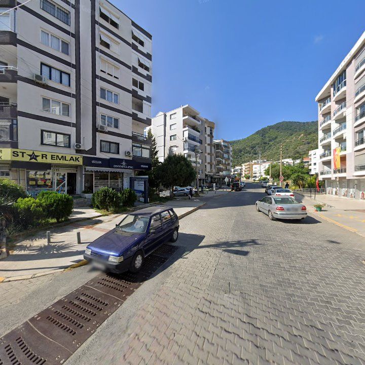 Fotoğraf 10