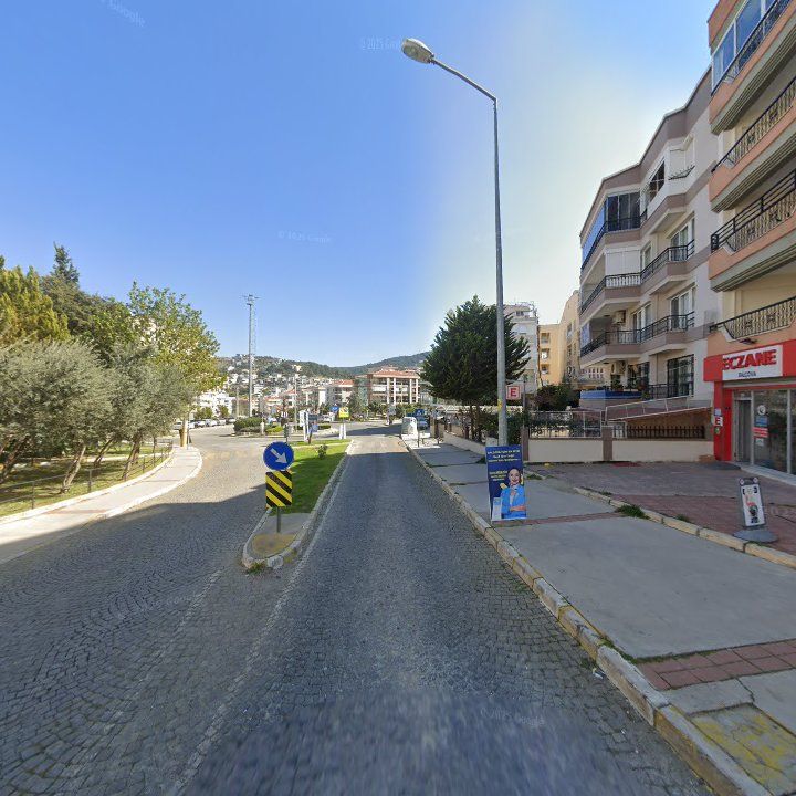 Fotoğraf 11