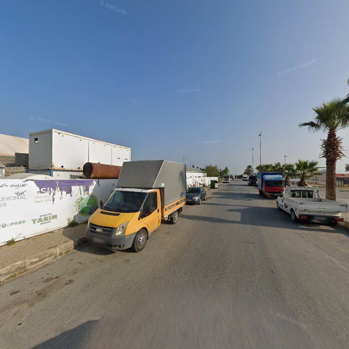 Fotoğraf 8