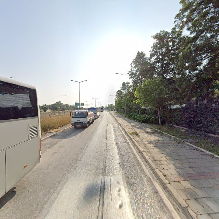 Fotoğraf 12