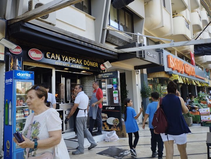 Can yaprak döner