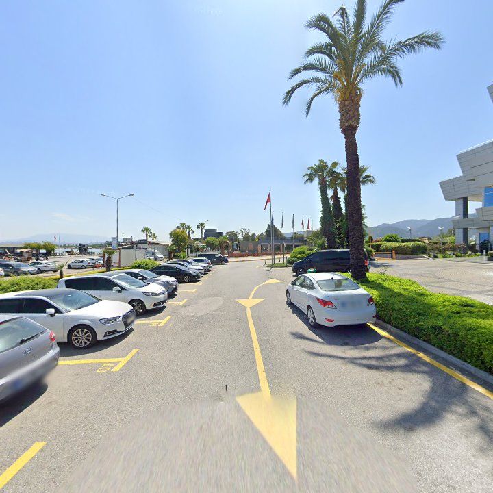 Fotoğraf 11