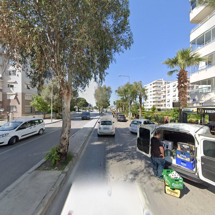 Fotoğraf 11