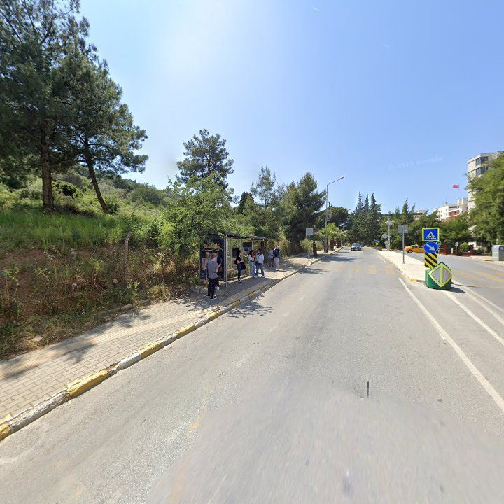 Fotoğraf 8