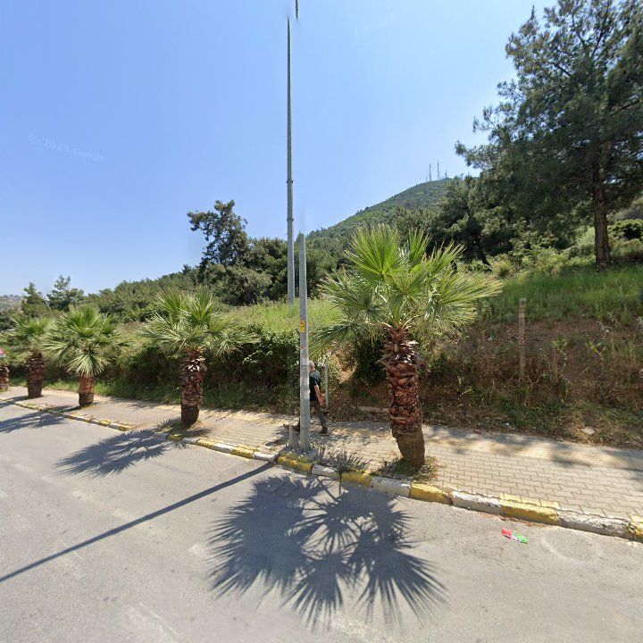Fotoğraf 7
