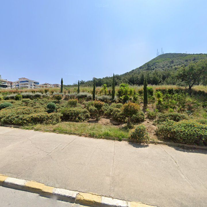 Fotoğraf 10