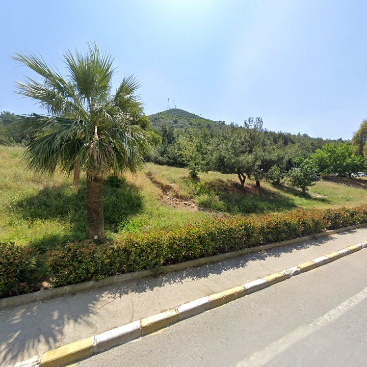 Fotoğraf 9