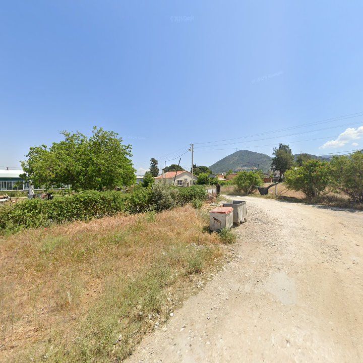 Fotoğraf 8
