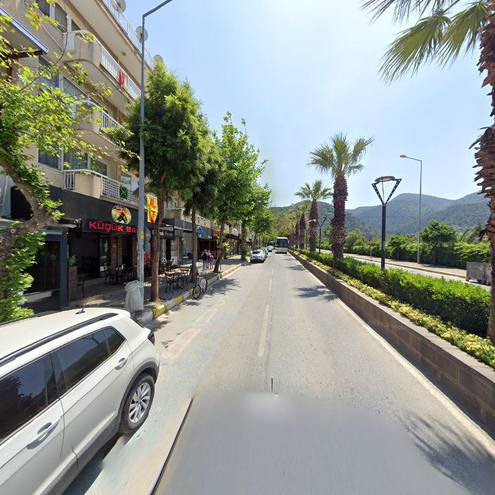 Fotoğraf 8