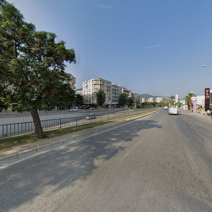 Fotoğraf 14