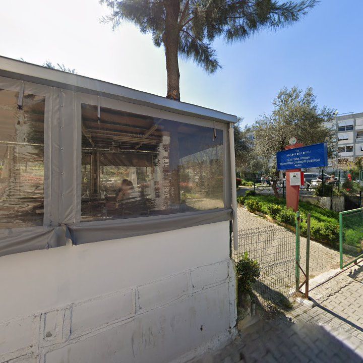 Fotoğraf 9