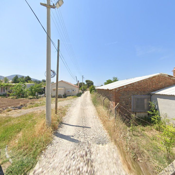 Fotoğraf 8