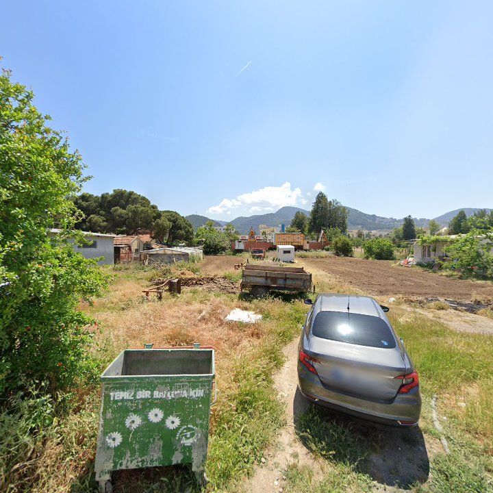 Fotoğraf 7
